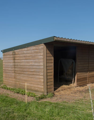 Co2 Douglas Fir &reg; Premium shadow Gap Cladding